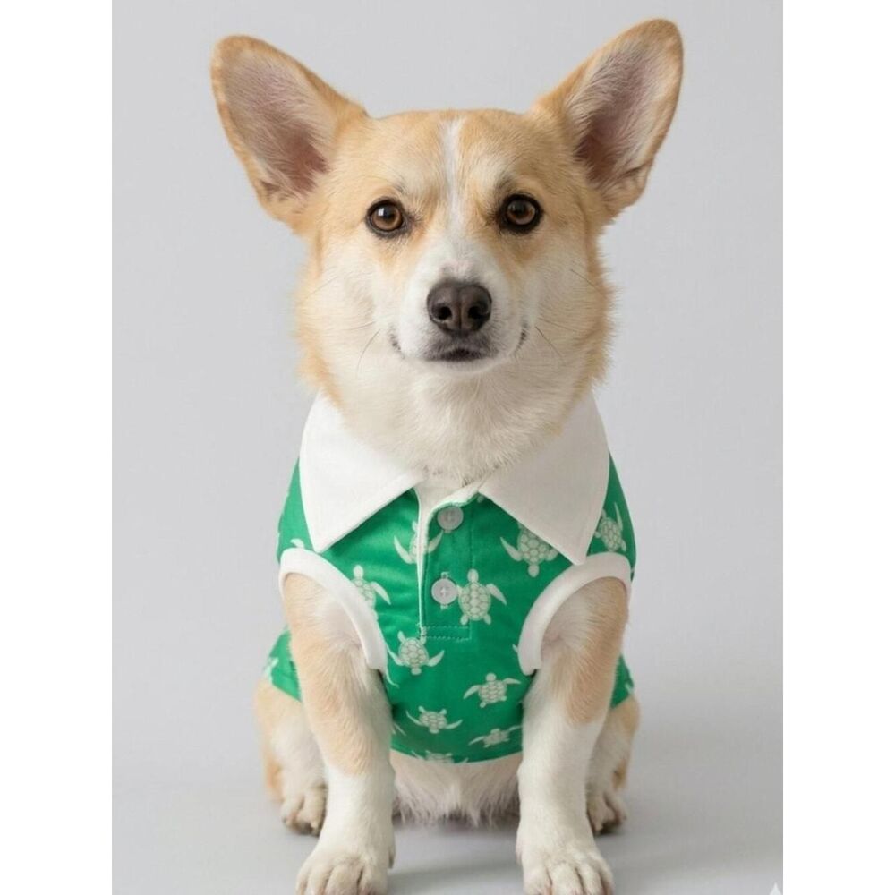 Unbranded Women's Green and White Polo-shirts